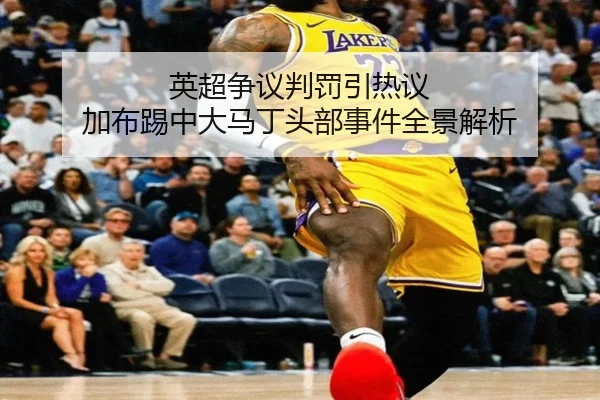 英超争议判罚引热议 加布踢中大马丁头部事件全景解析